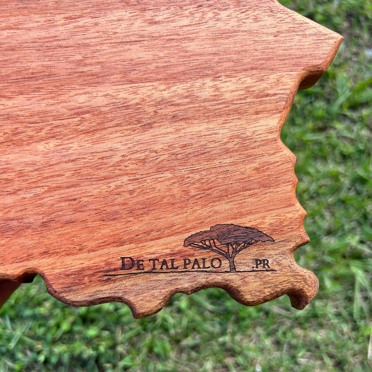 Bandeja con forma de Puerto Rico