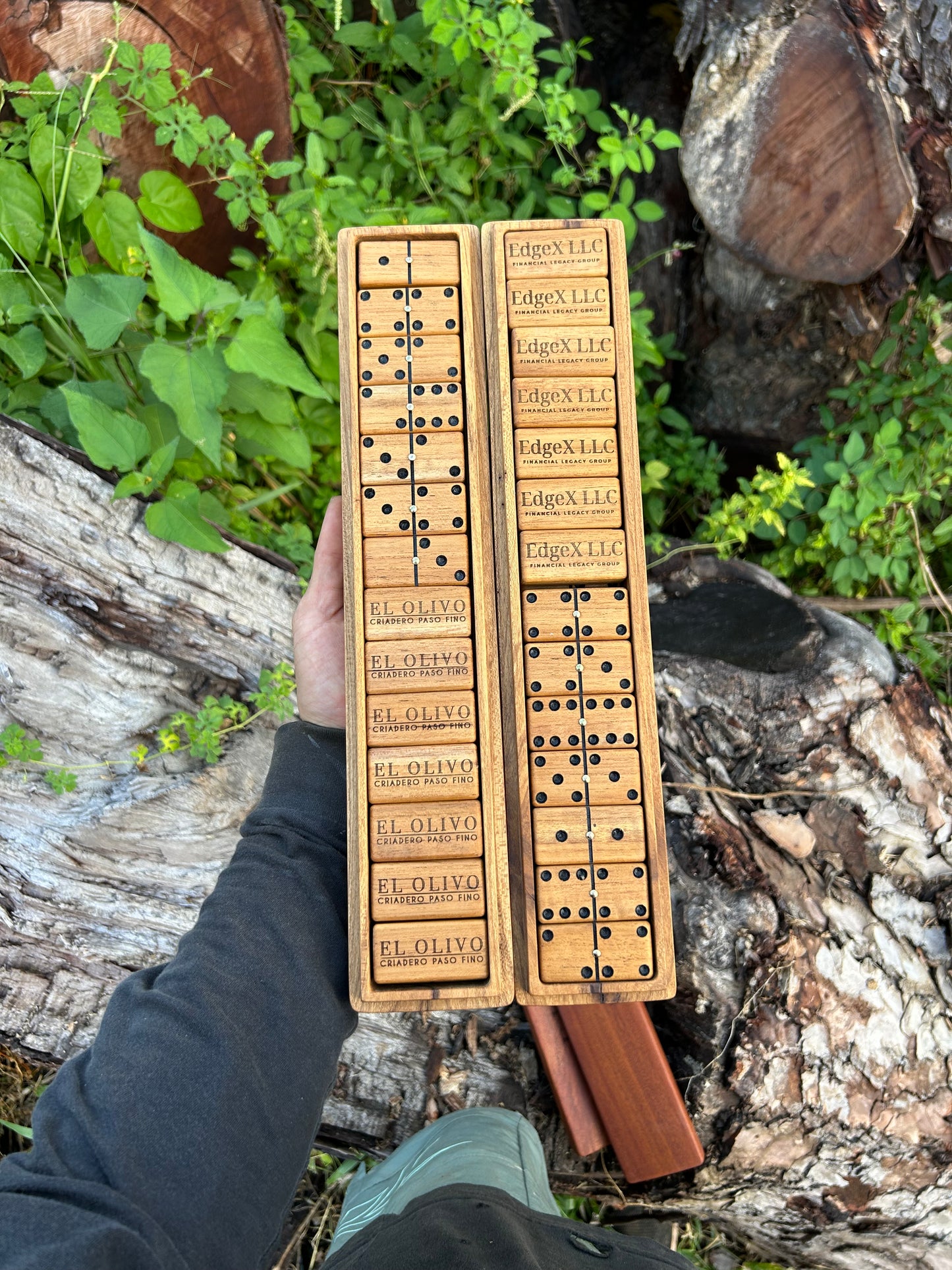 Dominos
