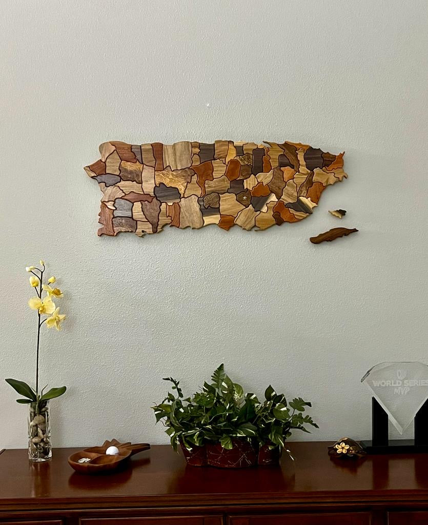 ❗️Rifa❗️: Mapa PR 3’ ft en 5 maderas nativas